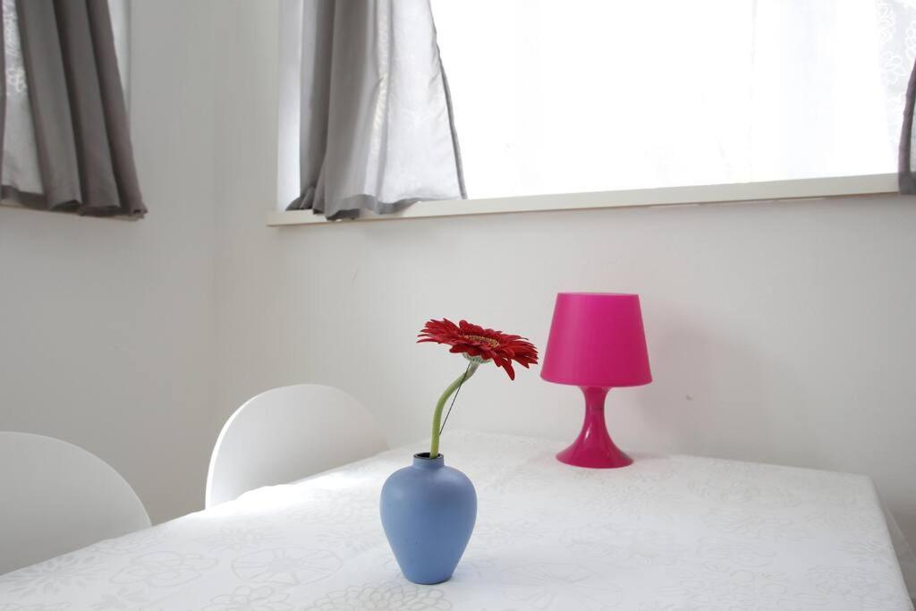 At - Pink Apartment *